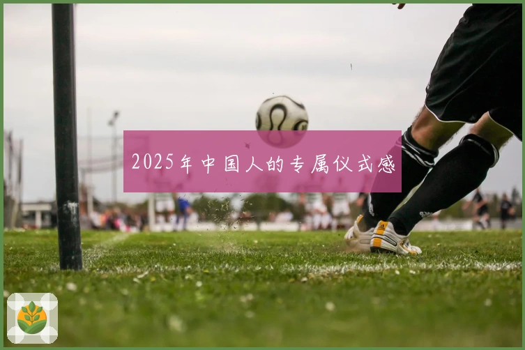 2025年中国人的专属仪式感